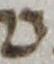 Letter - #14705