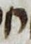 Letter - #14709