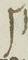 Letter - #14802