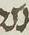 Letter - #14804