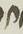 Letter - #14825