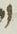 Letter - #14827