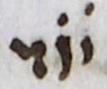 Abbreviation - #14860