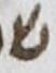Letter - #14861