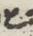 Letter - #15233