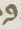 Letter - #15288