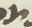 Letter - #15298