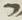 Letter - #15333
