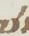 Letter - #15387
