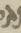 Letter - #15453