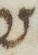 Letter - #15466