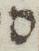 Letter - #15468