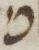 Letter - #15527