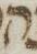 Letter - #15531