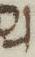 Letter - #15539