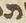Letter - #15576