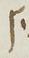 Letter - #15697