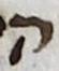 Letter - #15708