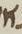 Letter - #15723