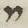 Letter - #15728