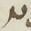 Letter - #15741