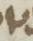 Letter - #15767