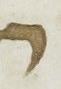 Letter - #15831