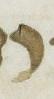 Letter - #15859