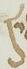 Letter - #15882