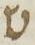 Letter - #15971