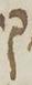Letter - #15978