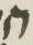 Letter - #16026