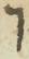 Letter - #16062