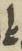 Ligature - #16070