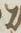 Letter - #16106