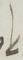 Ligature - #16140