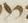Letter - #16221