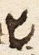 Letter - #16262