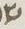 Letter - #16433