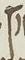 Letter - #16493