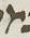 Letter - #16553