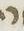Letter - #16592