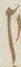 Letter - #16618
