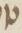 Letter - #16625