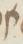 Letter - #16636