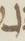Letter - #16656