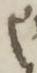 Letter - #16696