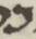 Letter - #16701