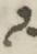 Letter - #16712