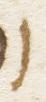 Letter - #16737
